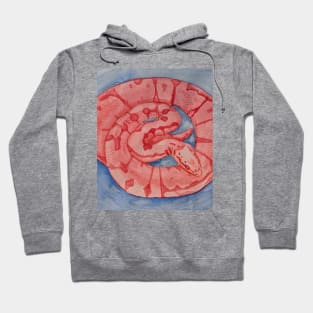 Strawberry Soda Snek Hoodie